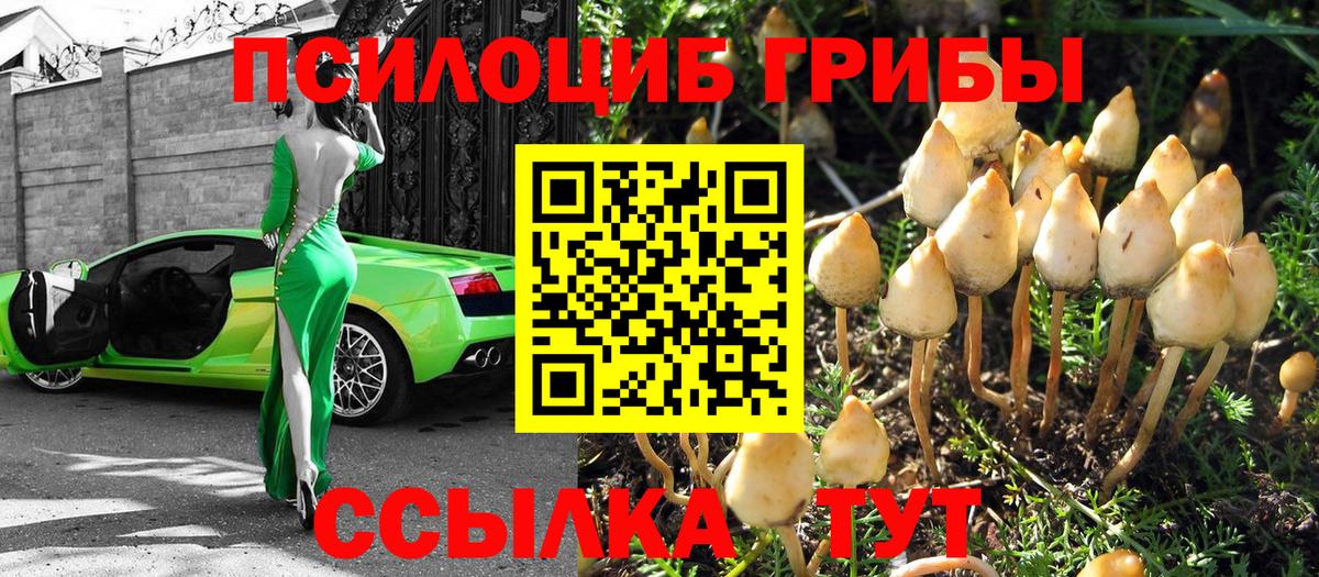 Псилоцибиновые грибы мухоморы  цены   Заволжье  Вход с VPN  Псилоцибиновые грибы прущие грибы 