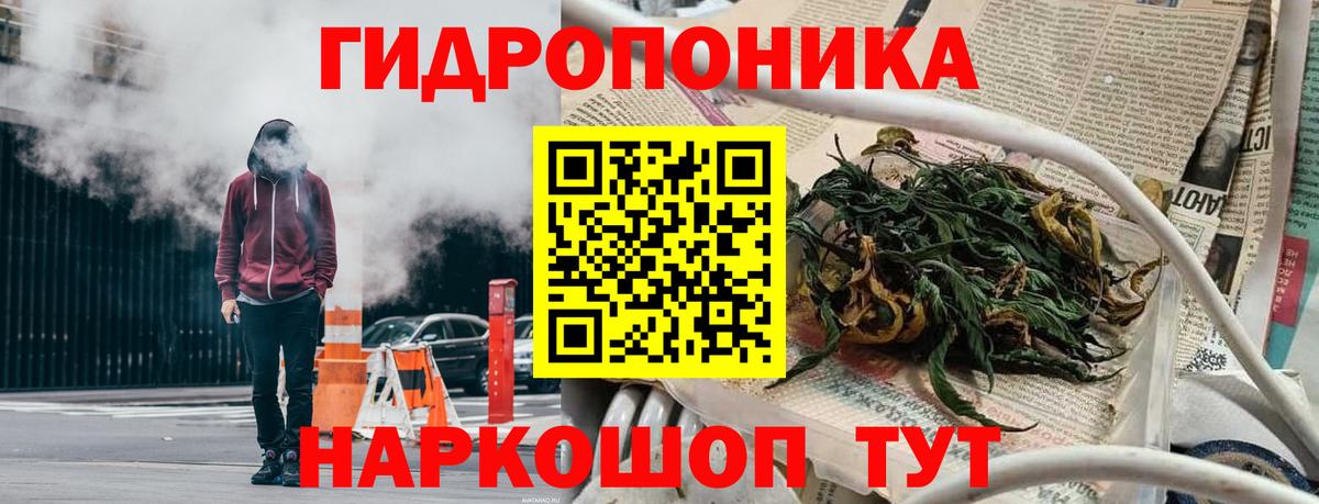 Каннабис планчик Заволжье